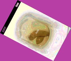 thumbnail of y1HNh99YjlSGUuQV.jpg