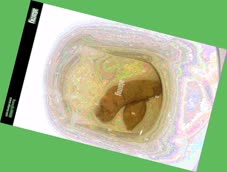 thumbnail of Hbp8I6DkanI7vKNerSOK.jpg