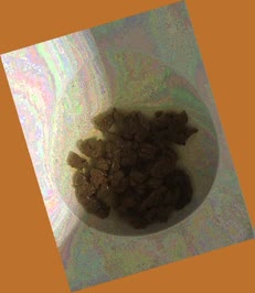 thumbnail of EK7MuLcKSMojKT1Njg.jpg