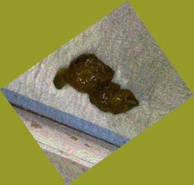 thumbnail of bxict.jpg