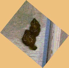 thumbnail of TLeaZxZFnp0opd.jpg
