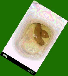 thumbnail of daW8bQcHvNbokrqoT2D.jpg
