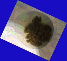 thumbnail of FrI369gEUHf.jpg