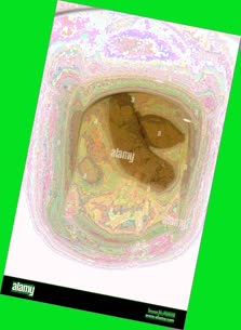 thumbnail of RLklSE.jpg