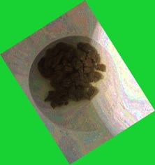 thumbnail of u0DAHNW5n741.jpg