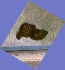 thumbnail of CdJexV2I8hN5jNZMh.jpg