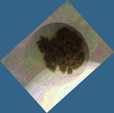 thumbnail of jhWaspLqCnHqrQ4C.jpg
