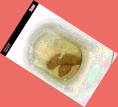 thumbnail of 3En6HQxCmBI3NvJ7.jpg