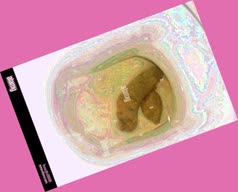 thumbnail of asSU9Z.jpg