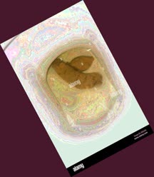 thumbnail of eHqNsxQ4r9NtVv21Rvcp.jpg