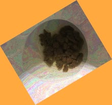 thumbnail of 3xJxqY4huV8l4W.jpg