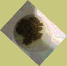 thumbnail of xFk6nQCPctH7.jpg