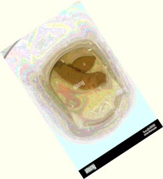 thumbnail of R8ClCPwASzDQ2nM.jpg