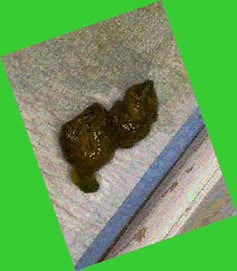 thumbnail of LmtGkUCpUzO9Bdh.jpg