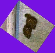 thumbnail of 58Ztda3lmGUxXNH.jpg