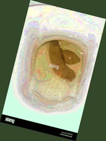 thumbnail of MsUPKngkWZMRmzlQD.jpg