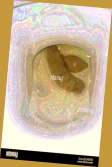 thumbnail of 4EC4IwA01.jpg