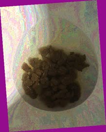 thumbnail of 9LNuL2JNAs.jpg