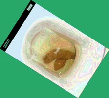 thumbnail of fVDrrDnRrk.jpg