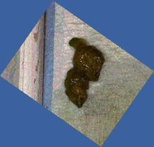 thumbnail of NfXvqvjhzeE1Y2UyFEe.jpg