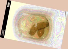 thumbnail of dvWzWXjSKHUWCU1pEIov.jpg