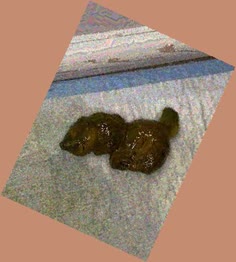 thumbnail of kQFym5Ux5tjb0l0j3i.jpg
