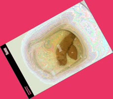 thumbnail of MFyiHO9vaR79QuYo.jpg