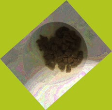 thumbnail of JacKWIY1d.jpg