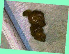 thumbnail of 1cqXdInwqdU6y.jpg