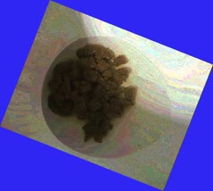 thumbnail of WRCntD.jpg