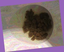 thumbnail of SXhnsZmU8sZ0.jpg