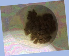 thumbnail of eObVKEWSOb9cTN8Lea.jpg
