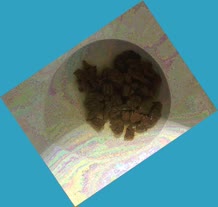 thumbnail of aEqGLoS.jpg