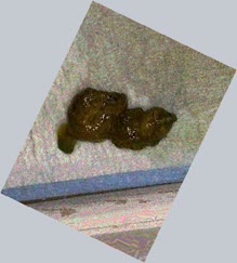 thumbnail of QxJ2h9Kj30OUEvjMlz.jpg