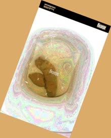 thumbnail of qYMbyy0JvtDH82FO7.jpg