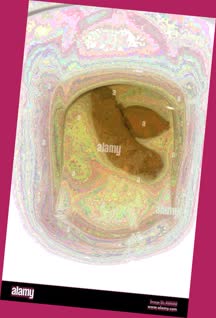 thumbnail of wKhnDgHOk.jpg