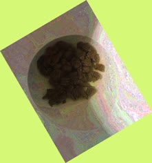 thumbnail of 0UXY8JSOyXCgLDtZG2vk.jpg
