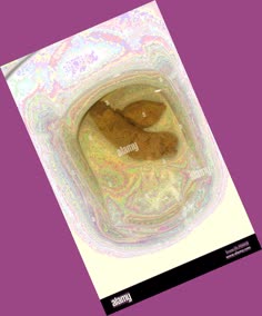thumbnail of JK9eaoQhDZAGC.jpg