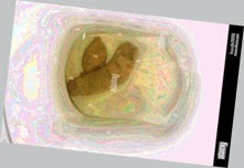 thumbnail of A9tQWCR8oReltFFkS8sU.jpg