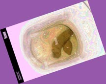 thumbnail of Ziz6XUhmZNToF2gBHwU.jpg