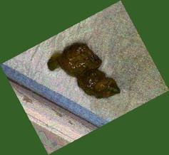thumbnail of NPQdEi9KIxbYboAF.jpg