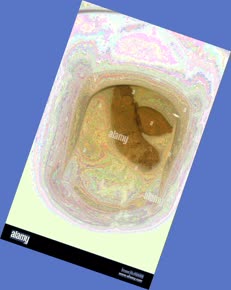 thumbnail of 7RrYAavb8HkesV.jpg