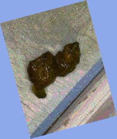 thumbnail of BkoZaWtj8x6VRc.jpg