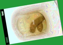 thumbnail of ke8yk.jpg