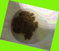 thumbnail of PLFQC2OG1.jpg