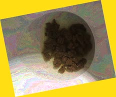thumbnail of ZRXHjvYR.jpg