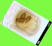 thumbnail of QGkUZxYbGrqvi.jpg