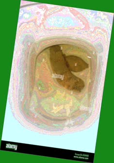 thumbnail of bwWn6fpLMXX4mvM8Tz4e.jpg