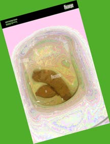 thumbnail of 1yb9vuTVuJT9QIyeR.jpg
