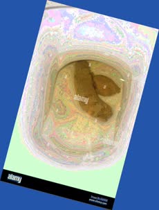 thumbnail of weRuiMKCCaCNkzw2KYr.jpg